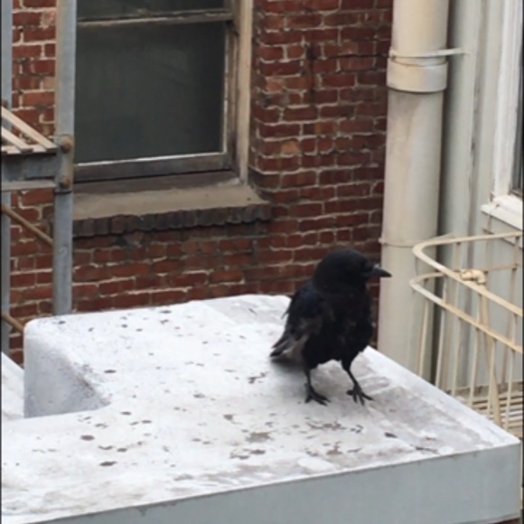 Meet your Posher, H - Picture 11 of 16